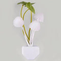 Novelty Mushroom Fungus Night Light EU & US Plug Light Sensor 220V 3 LED Colorful Mushroom Lamp Led Night Lights